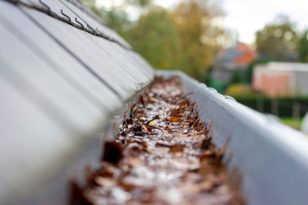 Commercial Gutter Cleaning in Perrysburg