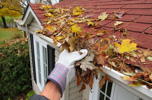 Rain Gutter Cleaning Service in Perrysburg
