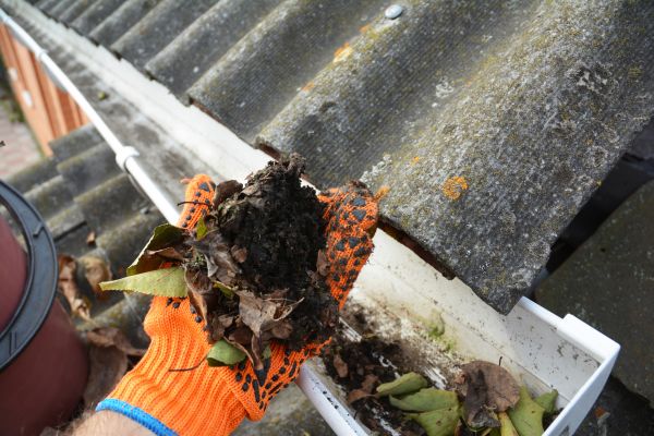 Seamless Gutter Cleaning in Perrysburg