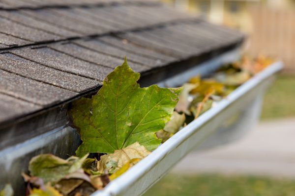 Gutter System Cleaning in Perrysburg