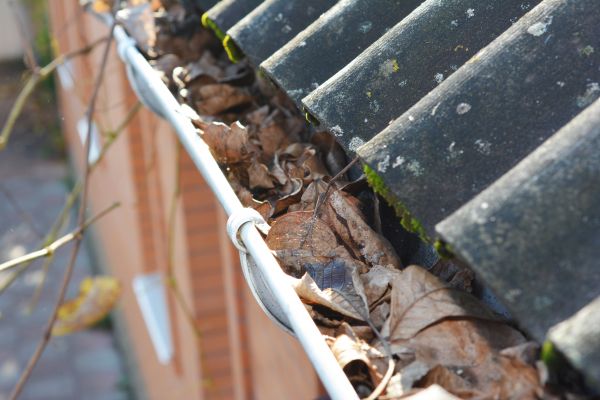 Home Gutter Cleaning in Perrysburg