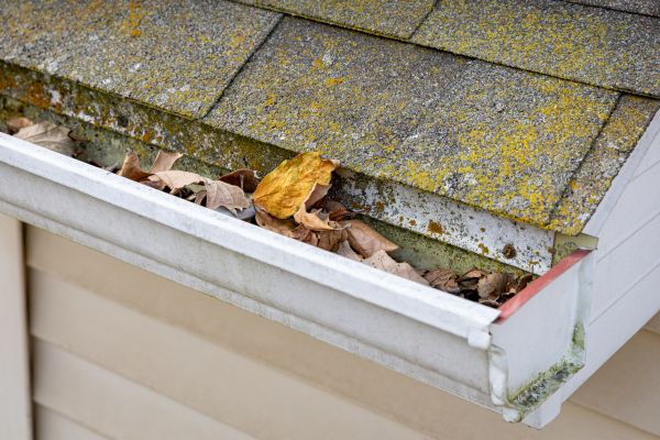 Garage Gutter Cleaning in Perrysburg
