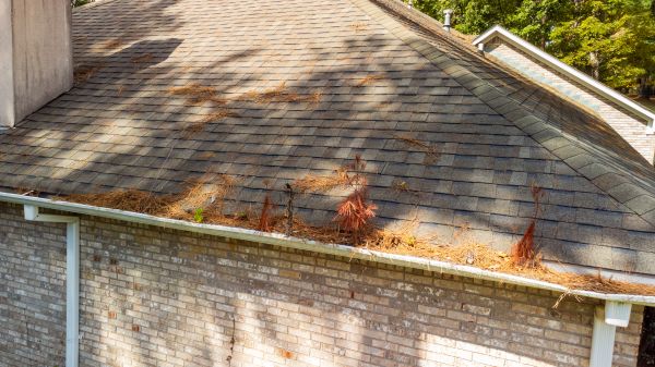 Gutter Pine Needle Removal in Perrysburg
