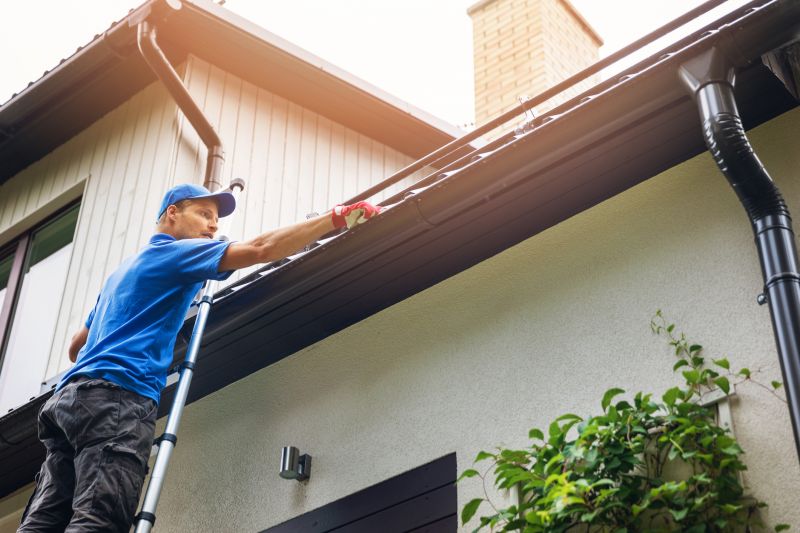 Residential Gutter Cleaners